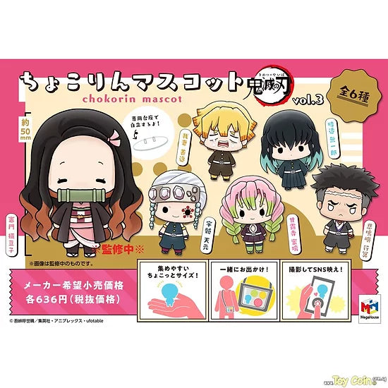 Chokkorin Demon Slayer Vol. 3