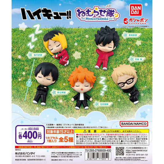 Haikyuu!! Nemurasetai